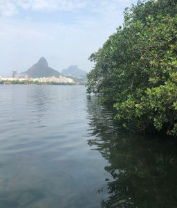 Lagoa Rodrigo de Freitas: 7 mil m² de área serão preservadas